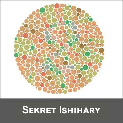 Logo-Secret Ishihara